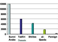 Who is the US Fighting in Iraq?