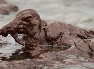 The Big Mistake in the New BP Ad