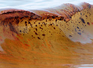 Hurricane Alex Halts Efforts to Deal with Gulf Oil Gusher