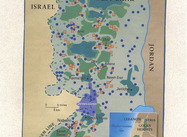 Dead Children and Arrested Babies: Palestinian Life under Israeli Colonialism