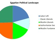 Mursi and the Brotherhood in a Pluralist Egypt