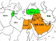 Middle East Regional Contention over Egypt’s New Government