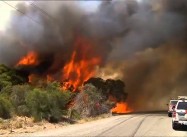 “Some say the world will end in fire:” Climate Panel Paints Mad Max World of Famine, Fire, War