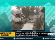 Iraq: Daesh/ISIL executes 26 Sunni Tribesmen in Campaign to Take Ramadi