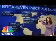 Saudi Arabia at the G20: Is it waging Econ War on Iran, Russia and N. Dakota?