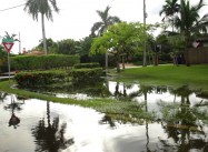 Sea Rise not Distant: Americans on Coast could see 200 Floods a Year before Mortgage paid Off