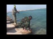 Top 5 Ways Daesh/ ISIL is Losing, as it lashes out like a Cornered Rat
