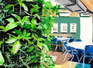 Inside the green schools revolution