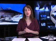 Ocean Life on the Verge of Mass Extinction