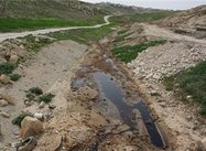Palestine Environmental authority warns against Israeli toxic waste dumping