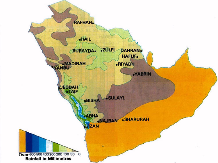 annual rainfall Saudi Arabia