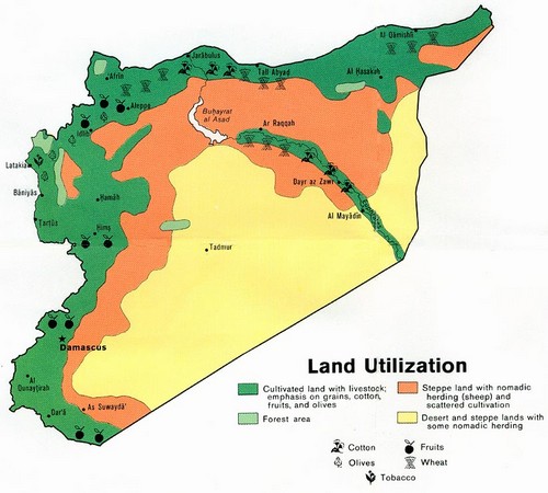 syria land use