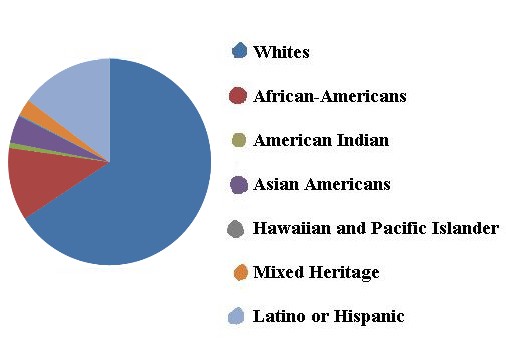 usastats