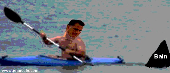 Romney Kayak and Shark