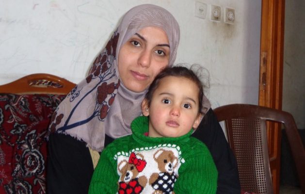 Gaza’s Food Insecurity made even worse by Environmental Damage of Israel’s War, Blockade