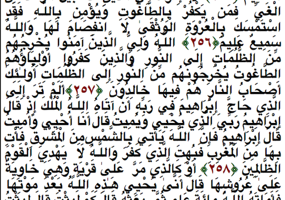 Top Ten Ways Islamic Law forbids Terrorism