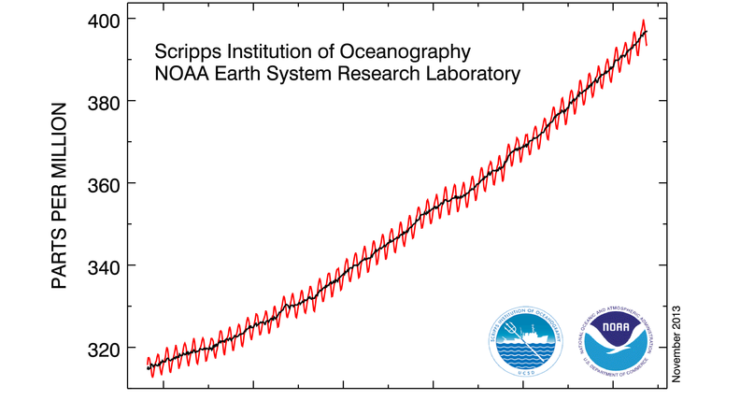 Oceans Turning Acid from Carbon Emissions, Point to Biological Breakdown