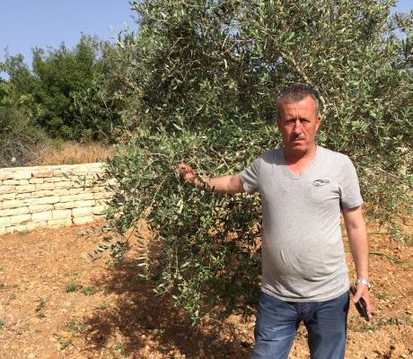 In Resistance and Creativity, the Occupied Palestinians find Hope