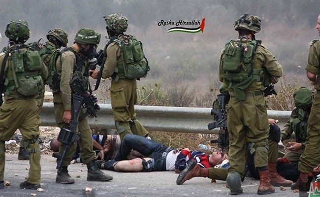 2016: A deadly year in Israeli-occupied Palestinian territory and Israel