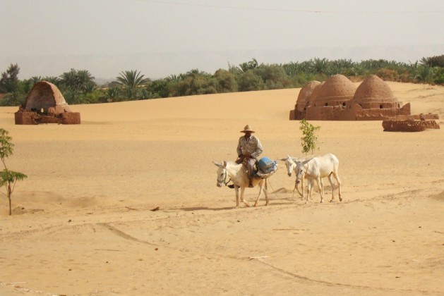 The-water-table-is-falling-in-Egypts-desert-oases-raising-questions-of-sustainability_Cam-McGrath-629x420-629x420