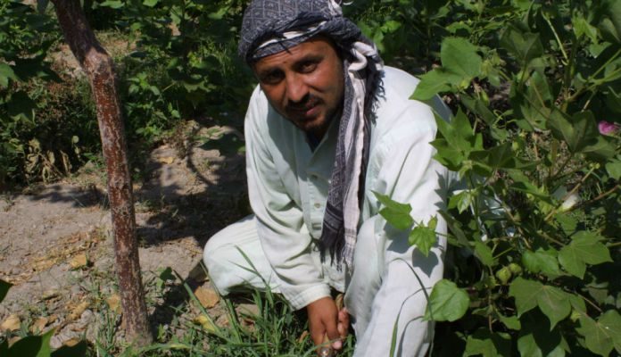 The Russians aren’t the only election hackers