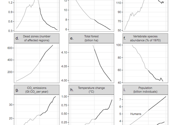 20,000 Scientists are Deeply Alarmed about Humanity and So should you Be