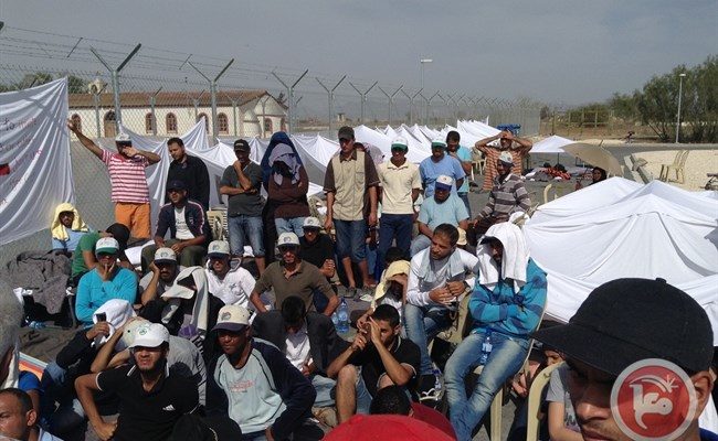 Trump Admin. to Withdraw from Palestinian Refugees All Rights of Return