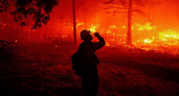 Earth’s Failing Climate Grade: 2x Extreme Weather Events, 100x Animal Extinctions