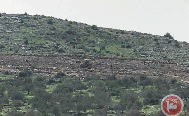 Israeli Bulldozers uproot 300 Palestinian-Owned Trees near Jenin