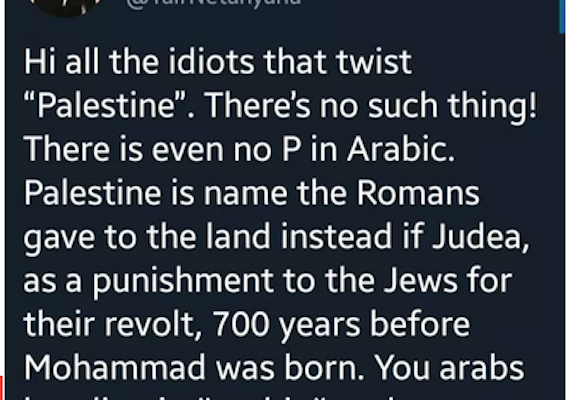 Anti-Palestinian Hate Speech goes unpunished in Israeli Social Media