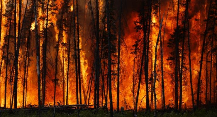 Raging wildfires threaten to turn Northern Hemisphere’s forests from vital carbon stores into climate heaters