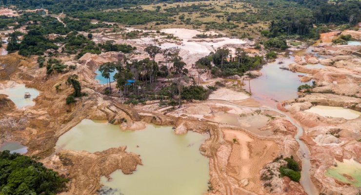 Statistic of the decade: The massive deforestation of the Amazon