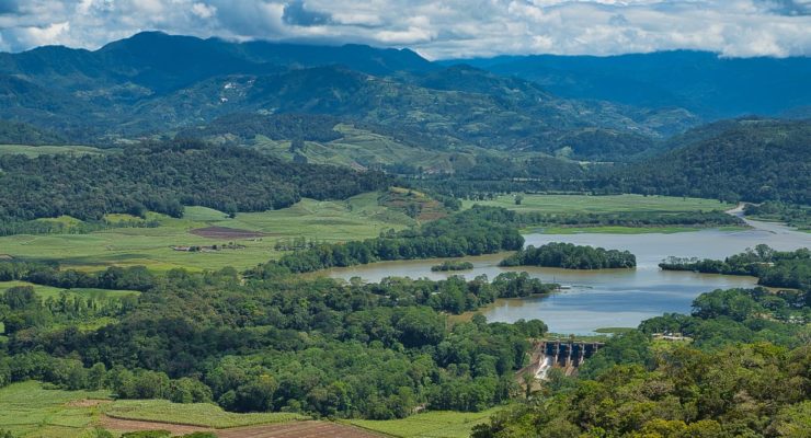 Climate Crisis and Carbon: Six Positive Developments in 2019