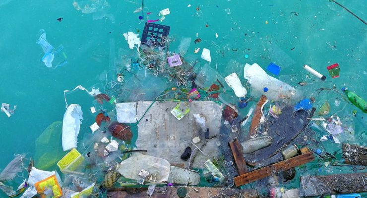 The Other Crisis: How the Microplastics we’ve Sown Everywhere are Harming Wildlife