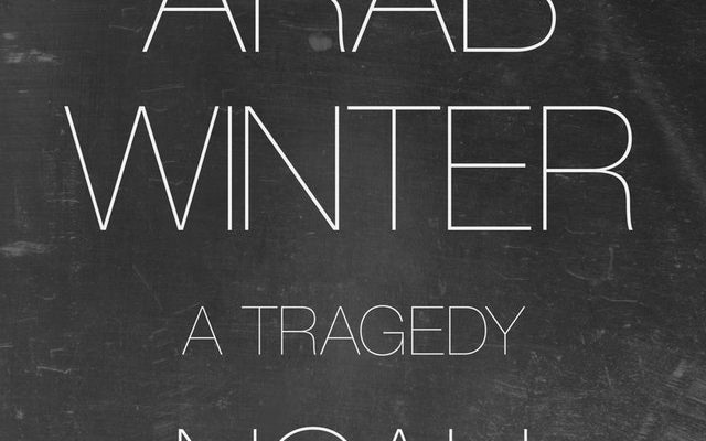 The Arab Spring was not a Failure:  Interview with Noah Feldman