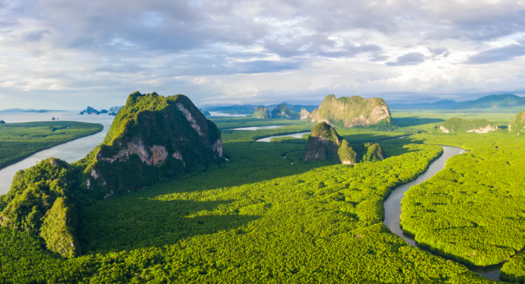 Heat the Earth more than 3.6° F. and Rain Forests will Release Hundreds of Billions of Tons of CO2