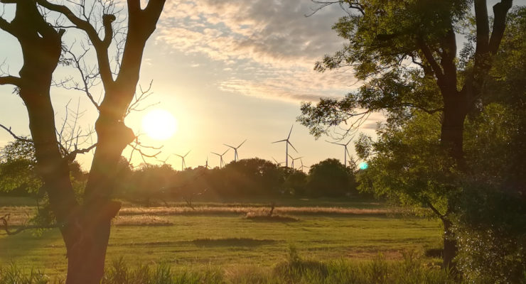 Over Half of Germany’s Power Use in 1st Half of 2020 was from Wind and Solar, as Coal Sank