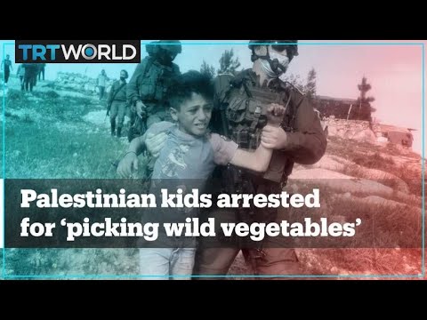 Increasing Israeli Squatter violence against Occupied Palestinians goes unchecked by the Israel Military