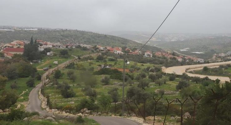 Confiscating Palestinian Land for a Horse Farm:  Israel’s Separation Barrier Restricts Livelihoods in the Occupied West Bank