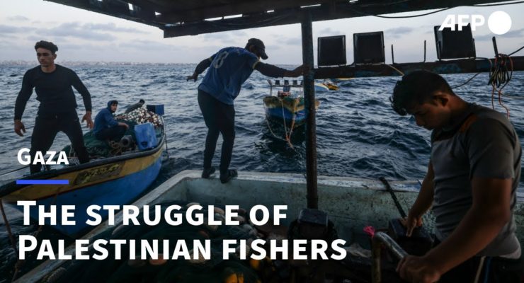 Israel’s Illegal Blockade Means Palestinian fishermen in Gaza Struggle for a Catch to feed their Families