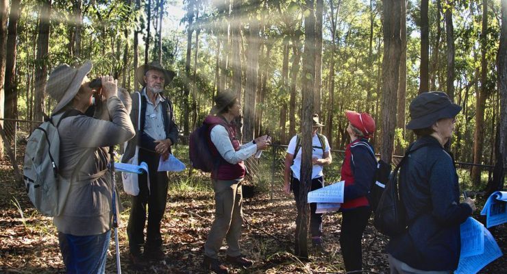 Why Climate Activists Need to Celebrate the Inflation Reduction Act, a major Turning Point despite its Warts