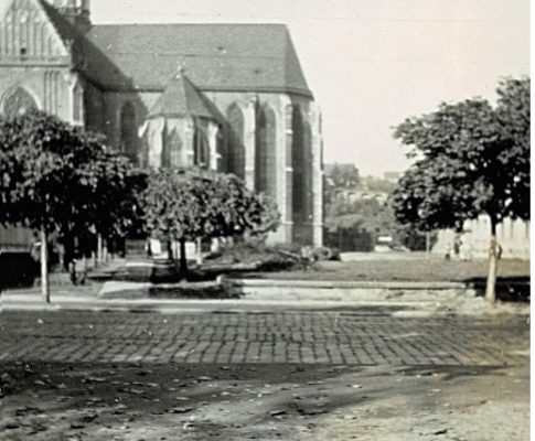 When Politicians get involved in Science:  The marble statue of Gregor Mendel