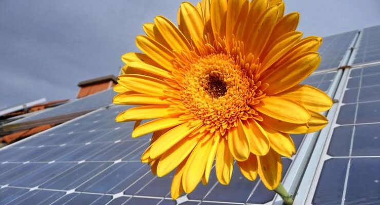 Time for some Climate Optimism: These 4 Charts on the Unstoppable Growth of Solar will Blow your Mind