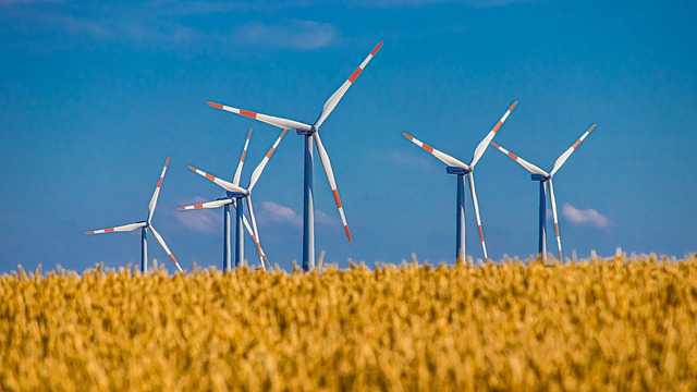 Are Green Sustainability and 20th Century-Style ‘Economic Growth’ Compatible?  Scientists increasingly Fear Not