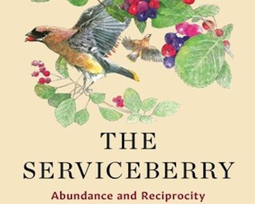 The Serviceberry:  Native American Ecology and the End of Carbon Capitalism