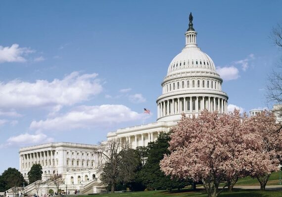 On the Electoral Tactics of the American Historical Association