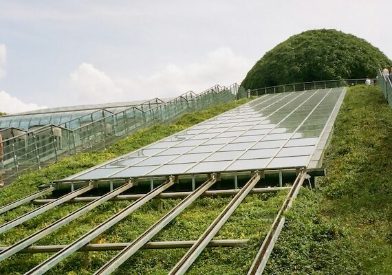 How Wind and Solar Power Keeps America’s Farms Alive