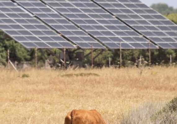 Green Energy and protecting Nature get the Thumbs up in Climate Change study in 68 Countries