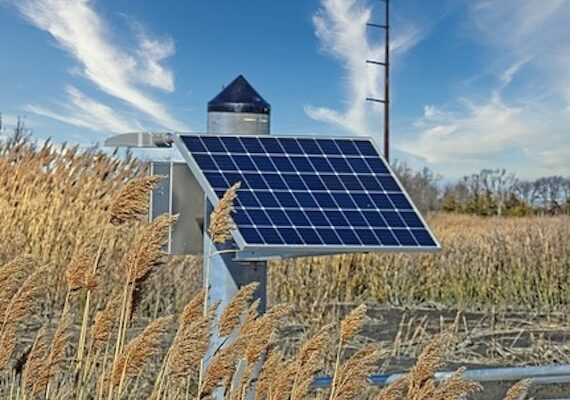Solar Power: California Farmers identify a hot new Cash Crop