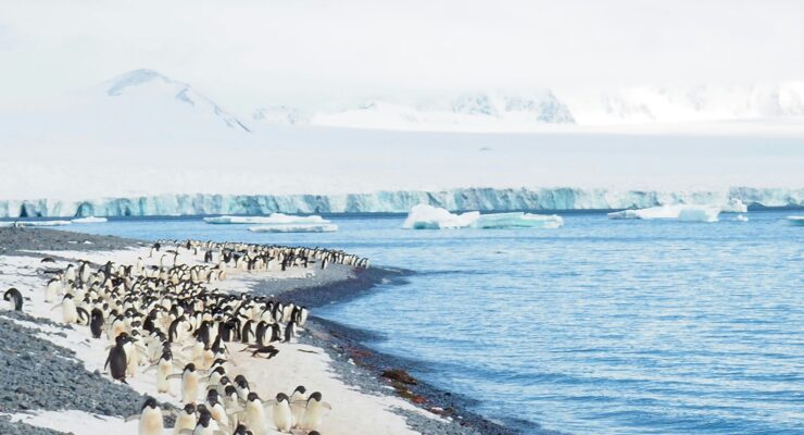 We’ll all Feel the Abrupt Changes Striking Antarctica Sea Ice and Ocean Currents